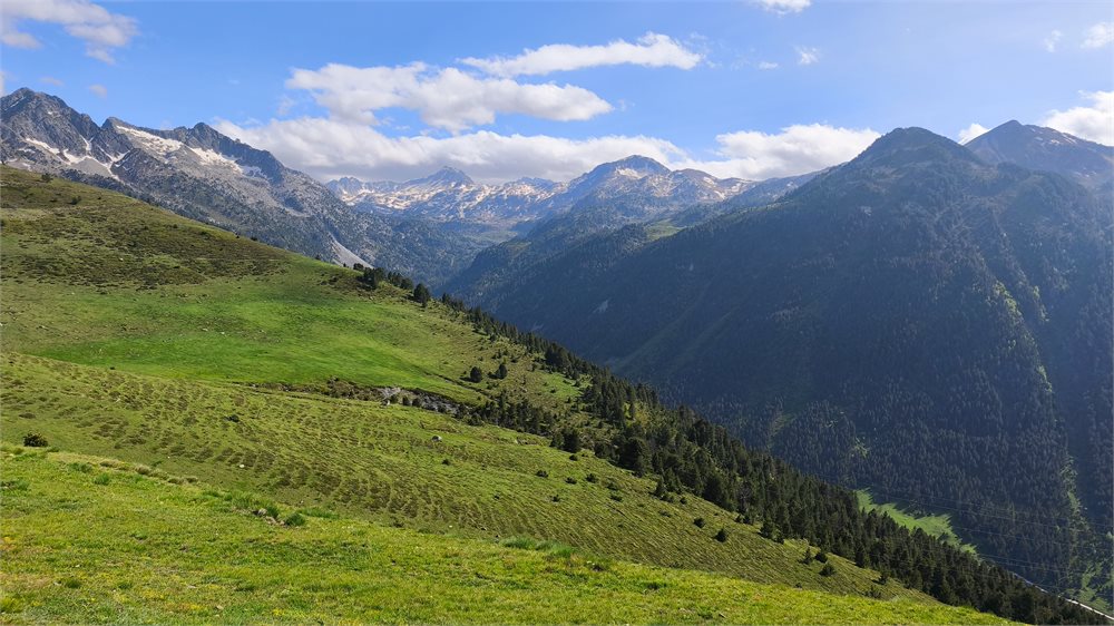 Panorama verde de los Pirineos con cumbres nevadas.